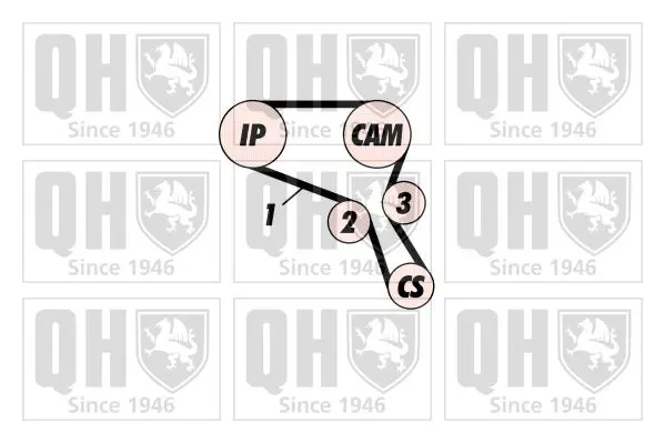 Handler.Part Timing belt set QUINTON HAZELL QBK556 2