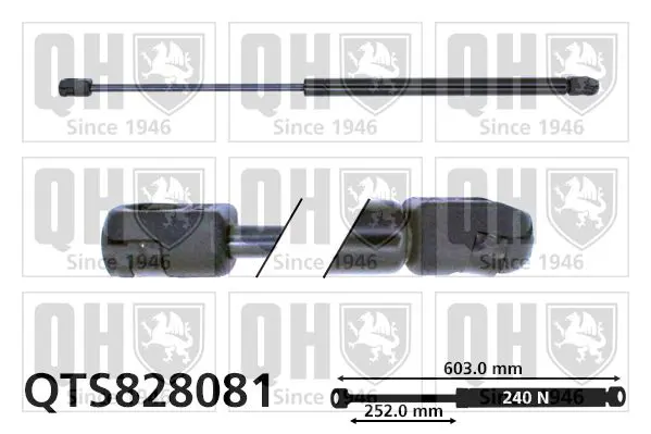 Handler.Part Gas spring, boot-/cargo area QUINTON HAZELL QTS828081 1