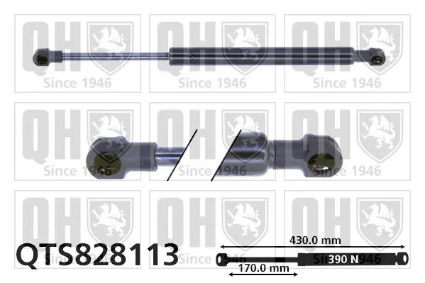 Handler.Part Gas spring, boot-/cargo area QUINTON HAZELL QTS828113 1