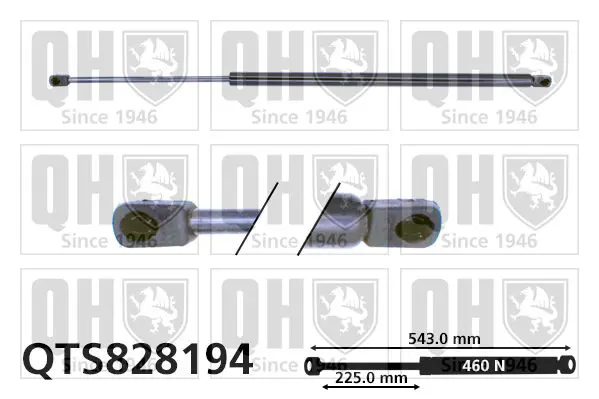 Handler.Part Gas spring, boot-/cargo area QUINTON HAZELL QTS828194 1