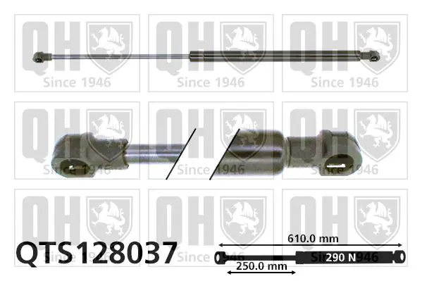 Handler.Part Gas spring, boot-/cargo area QUINTON HAZELL QTS128037 1