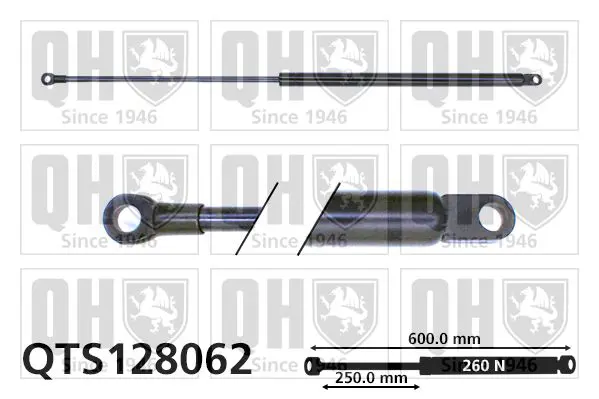 Handler.Part Gas spring, boot-/cargo area QUINTON HAZELL QTS128062 1