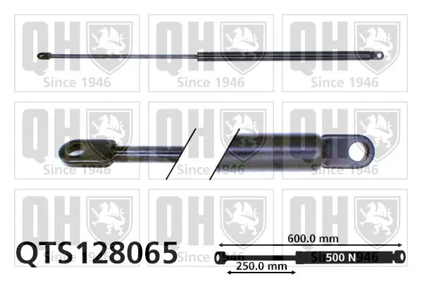 Handler.Part Gas spring, boot-/cargo area QUINTON HAZELL QTS128065 1