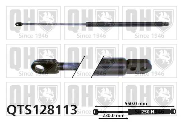 Handler.Part Gas spring, boot-/cargo area QUINTON HAZELL QTS128113 1