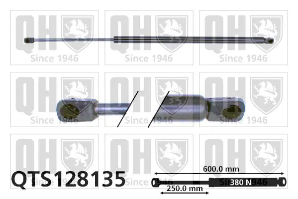 Handler.Part Gas spring, boot-/cargo area QUINTON HAZELL QTS128135 1