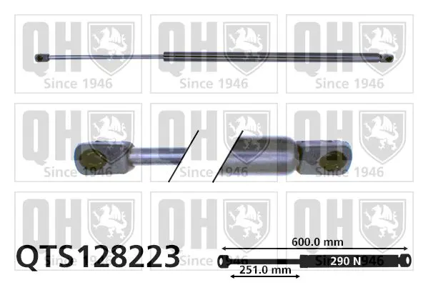 Handler.Part Gas spring, boot-/cargo area QUINTON HAZELL QTS128223 1