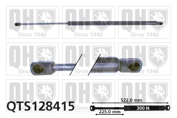 Handler.Part Gas spring, boot-/cargo area QUINTON HAZELL QTS128415 1