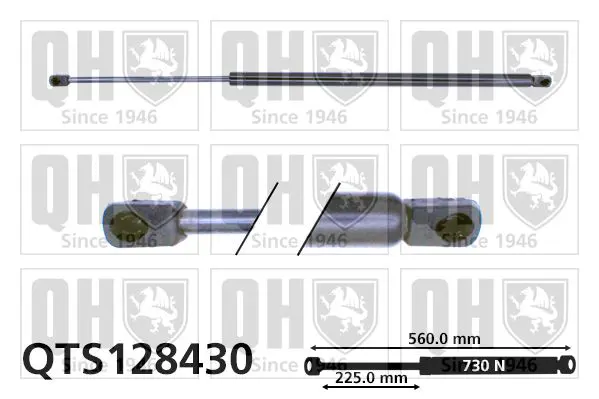 Handler.Part Gas spring, boot-/cargo area QUINTON HAZELL QTS128430 1