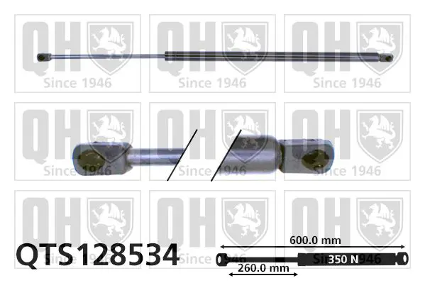 Handler.Part Gas spring, boot-/cargo area QUINTON HAZELL QTS128534 1