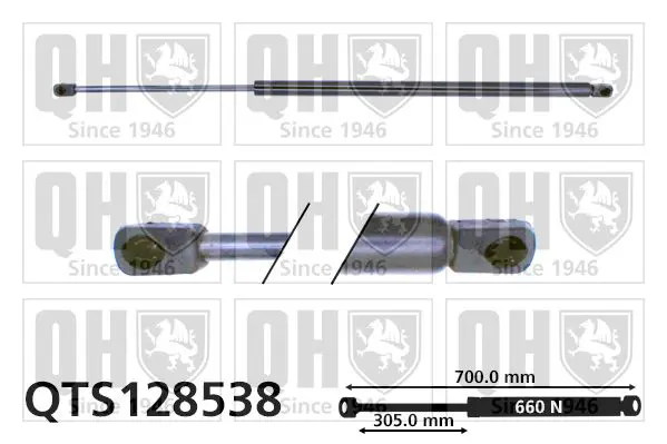 Handler.Part Gas spring, boot-/cargo area QUINTON HAZELL QTS128538 1