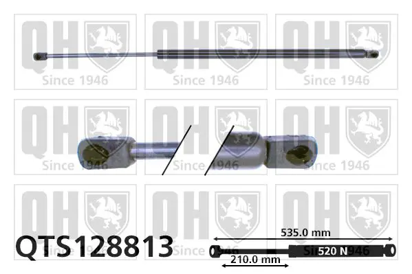 Handler.Part Gas spring, boot-/cargo area QUINTON HAZELL QTS128813 1