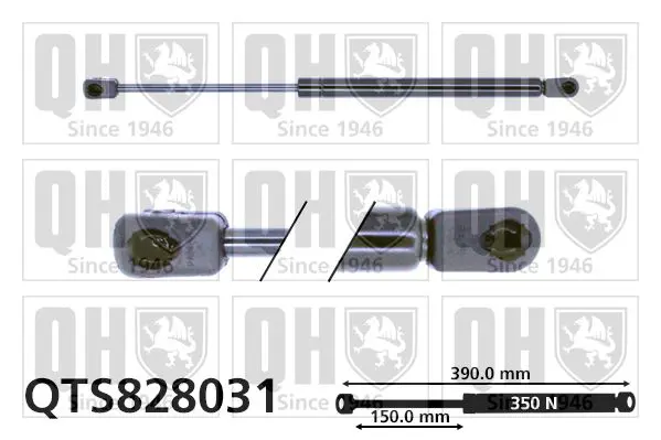 Handler.Part Gas spring, boot-/cargo area QUINTON HAZELL QTS828031 1