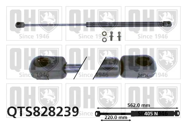 Handler.Part Gas spring, boot-/cargo area QUINTON HAZELL QTS828239 1