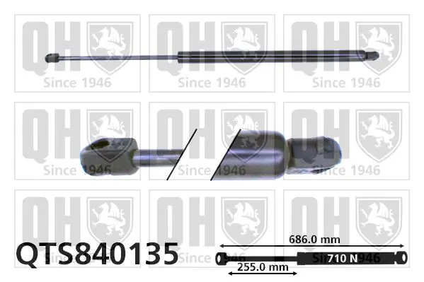 Handler.Part Gas spring, boot-/cargo area QUINTON HAZELL QTS840135 1