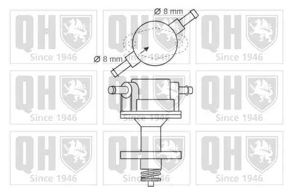 Handler.Part Fuel pump QUINTON HAZELL QFP87 2