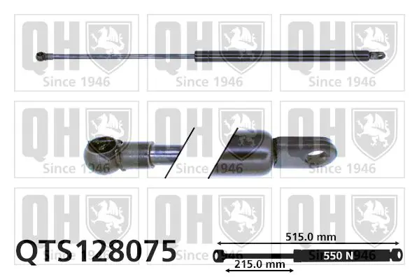 Handler.Part Gas spring, boot-/cargo area QUINTON HAZELL QTS128075 1