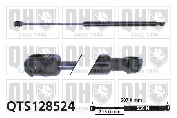 Handler.Part Gas spring, boot-/cargo area QUINTON HAZELL QTS128524 1