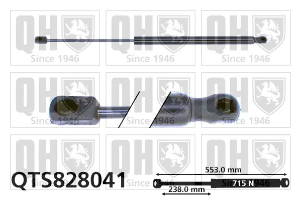 Handler.Part Gas spring, boot-/cargo area QUINTON HAZELL QTS828041 1