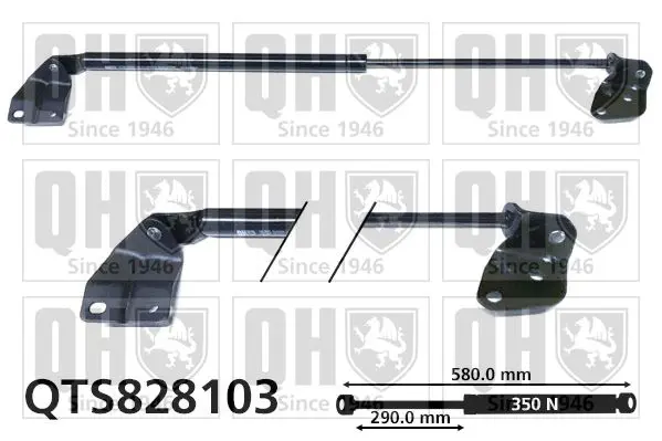 Handler.Part Gas spring, boot-/cargo area QUINTON HAZELL QTS828103 1