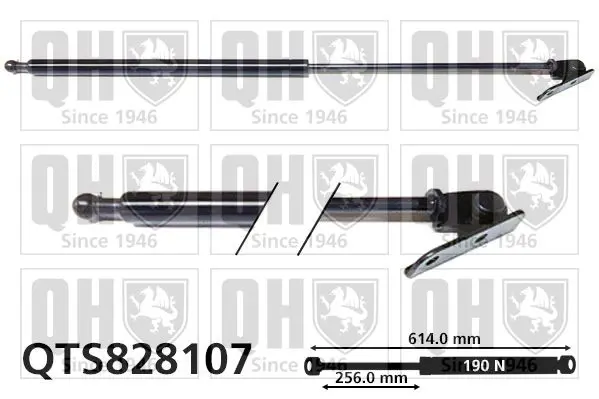 Handler.Part Gas spring, boot-/cargo area QUINTON HAZELL QTS828107 1