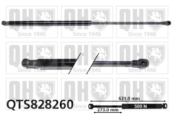 Handler.Part Gas spring, boot-/cargo area QUINTON HAZELL QTS828260 1