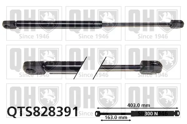 Handler.Part Gas spring, boot-/cargo area QUINTON HAZELL QTS828391 1