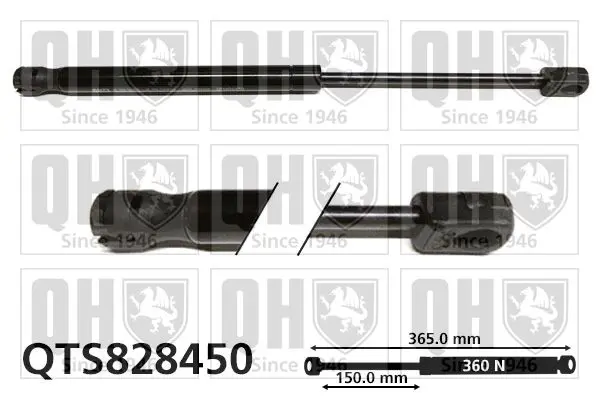 Handler.Part Gas spring, bonnet QUINTON HAZELL QTS828450 1