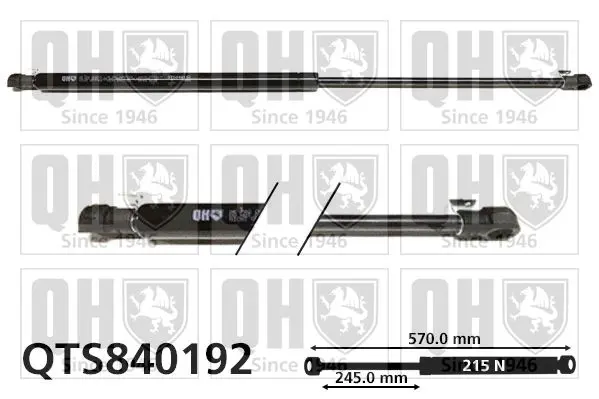 Handler.Part Gas spring, boot-/cargo area QUINTON HAZELL QTS840192 1