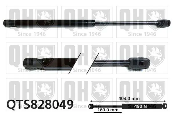 Handler.Part Gas spring, boot-/cargo area QUINTON HAZELL QTS828049 1