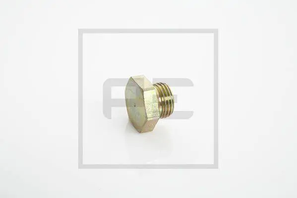 Handler.Part Screw plug PE Automotive 07617500A 1