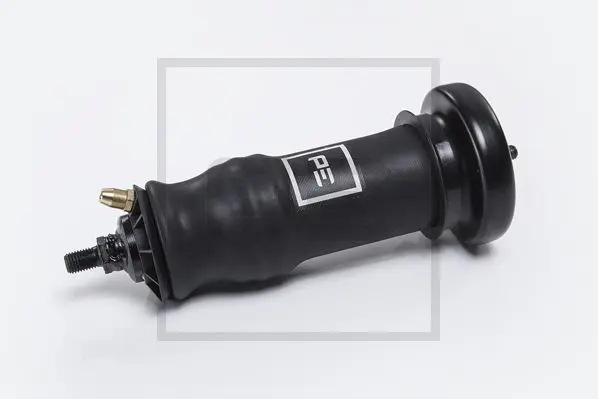 Handler.Part Shock absorber, cab suspension PE Automotive 12316600A 1