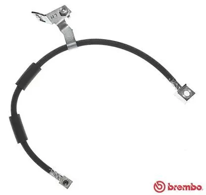 Handler.Part Brake hose BREMBO T11008 1