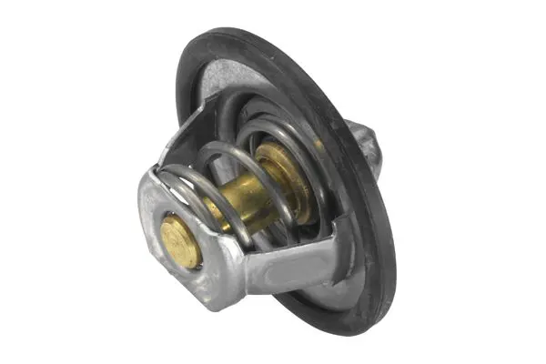 Handler.Part Thermostat, coolant WAHLER 346689D 3