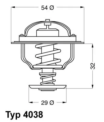 Handler.Part Thermostat, coolant WAHLER 403865D 1