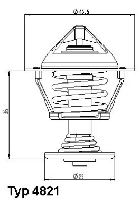 Handler.Part Thermostat, coolant WAHLER 482189D 1