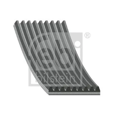 Handler.Part V-ribbed belts Febi 29088 1