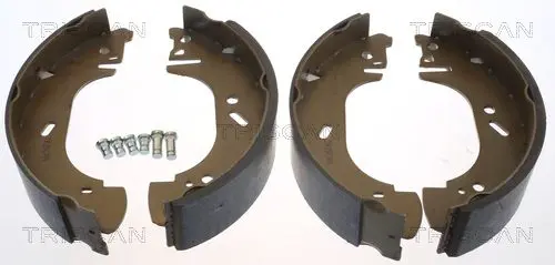 Handler.Part Brake shoe set TRISCAN 810010002 1