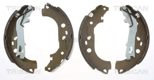 Handler.Part Brake shoe set TRISCAN 810010007 1