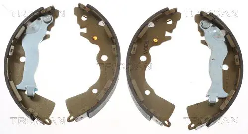 Handler.Part Brake shoe set TRISCAN 810010020 1