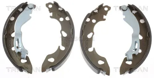 Handler.Part Brake shoe set TRISCAN 810010038 1