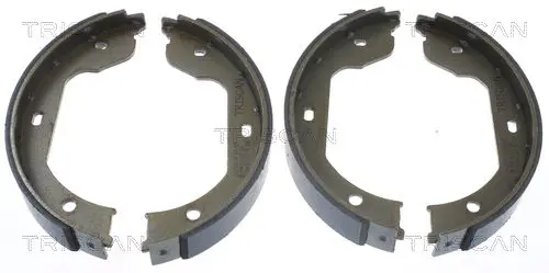 Handler.Part Brake shoe set, parking brake TRISCAN 810011012 1