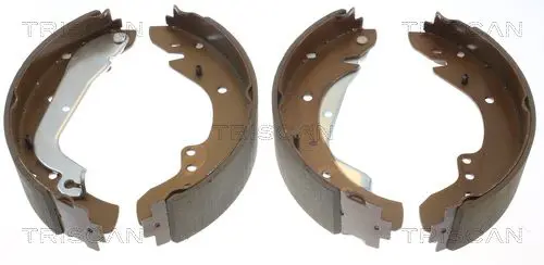 Handler.Part Brake shoe set, parking brake TRISCAN 810011415 1