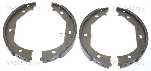 Handler.Part Brake shoe set TRISCAN 810011638 1