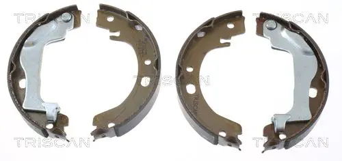 Handler.Part Brake shoe set, parking brake TRISCAN 810013041 1