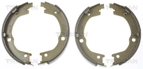 Handler.Part Brake shoe set TRISCAN 810018006 1