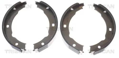 Handler.Part Brake shoe set, parking brake TRISCAN 810028050 1