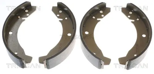 Handler.Part Brake shoe set TRISCAN 810029104 1