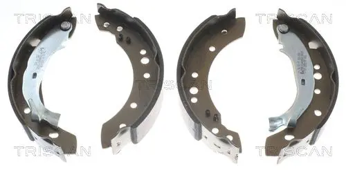 Handler.Part Brake shoe set TRISCAN 810038001 1