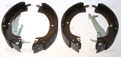 Handler.Part Brake shoe set TRISCAN 810042018 2