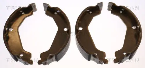 Handler.Part Brake shoe set TRISCAN 810043019 1